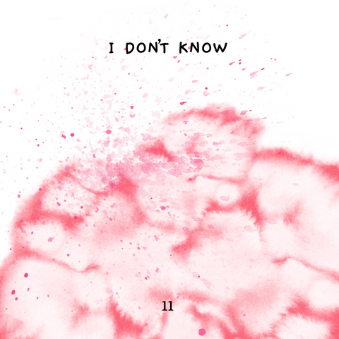 Shaltazar Message #11 - I Don't Know