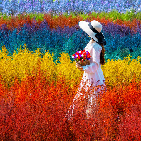 Dream Fields: Angelic Singing Meditation Music