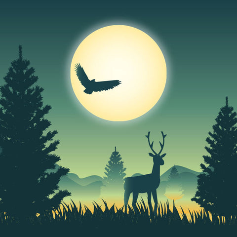 Calming piano music with rain sounds.