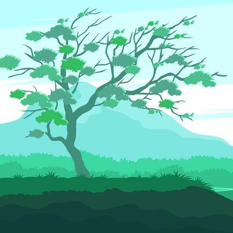 Morning meditation music with piano and cello.