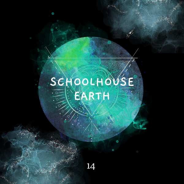 Shaltazar Message #14 - Schoolhouse Earth