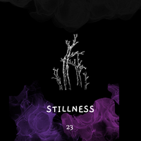 Shaltazar Message #23 - Stillness