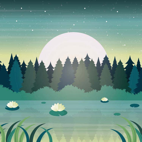 Calming meditation music with piano, cello, and forest sounds.