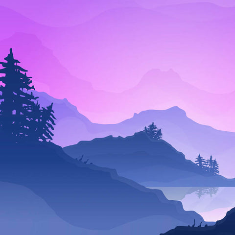 Soaring Into The Night